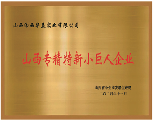 山西专精特新幼巨人企业